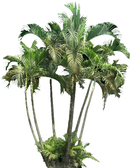 palmerl4.png