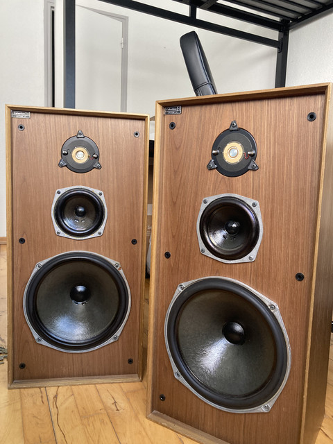 Filtre Enceinte Celestion Ditton 11, Occasion, Pour Réparation Ou Upgrade