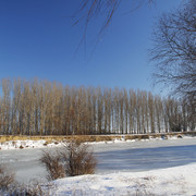 2a0199m