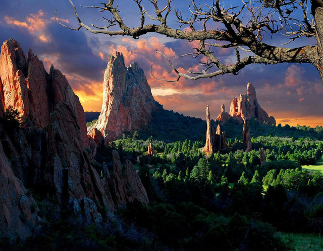 zion4