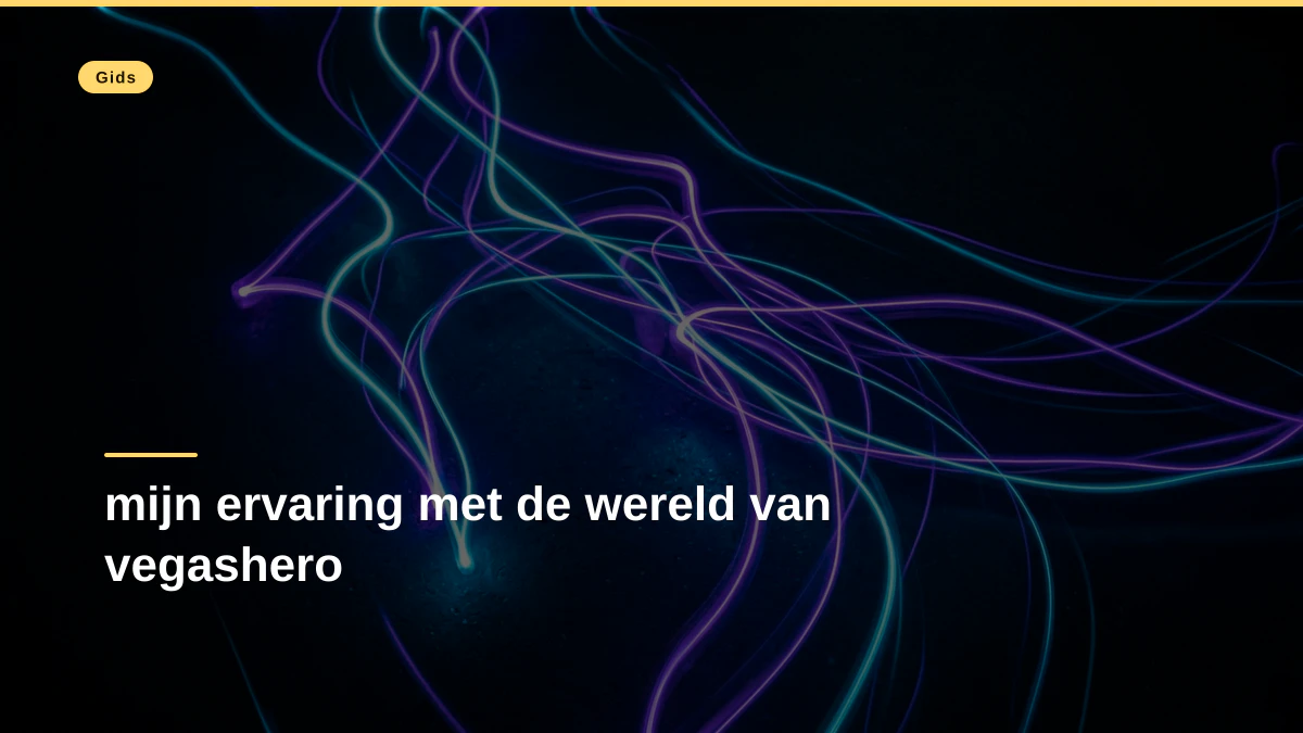 mijn ervaring met de wereld van vegashero