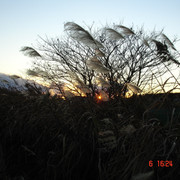 2008-12-06-102