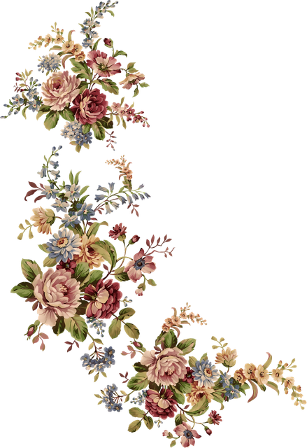186b06ecc3d4ffa99cda9860e96577d6.png