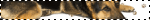 germanshepherd