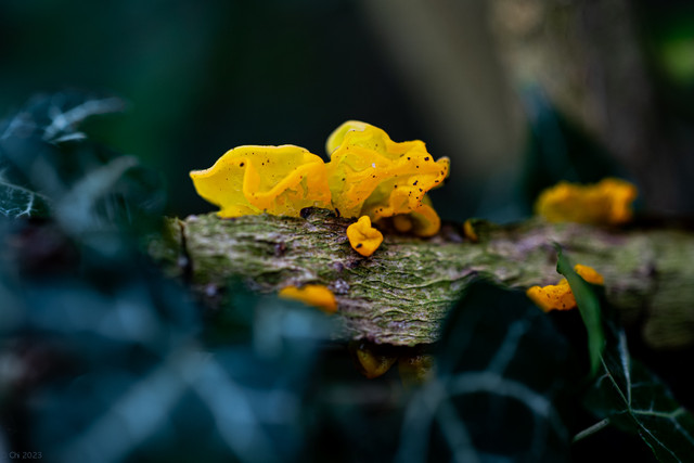 L1010821