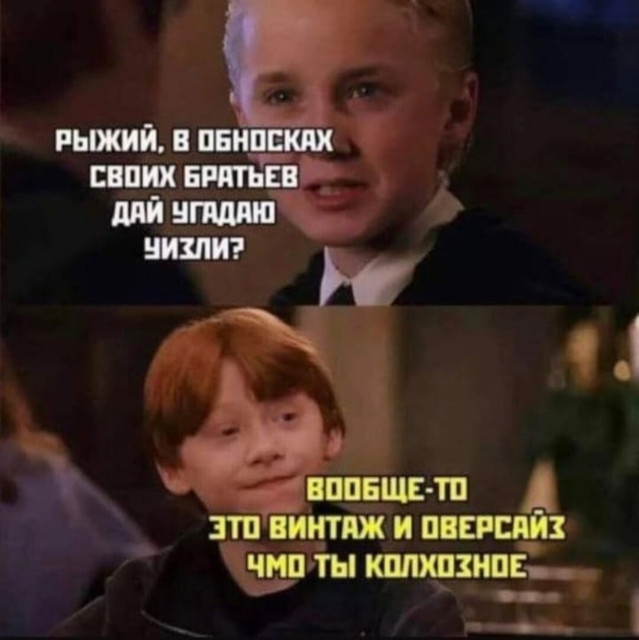 7536896.jpg