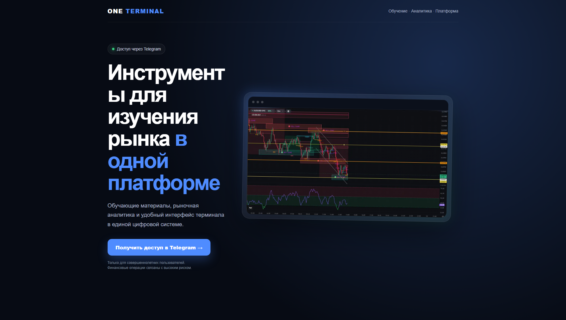Forensic screenshot of oneterminal.pro showing the phishing page layout