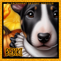 xcd-hb-sd2-avi-bekki.gif