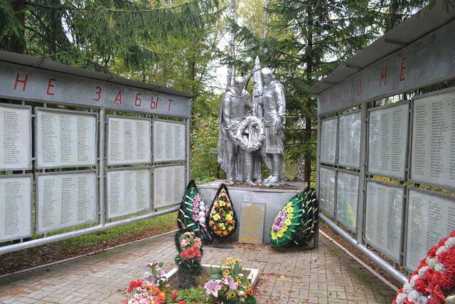 https://i.ibb.co/HDG6L0J4/image.jpg