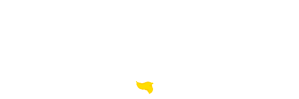INDO350 Logo
