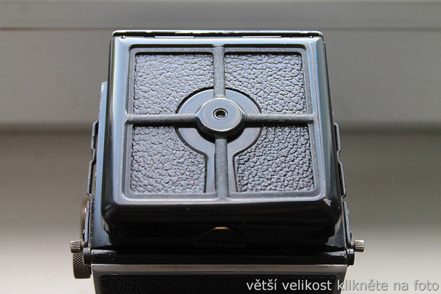 IMG-3133