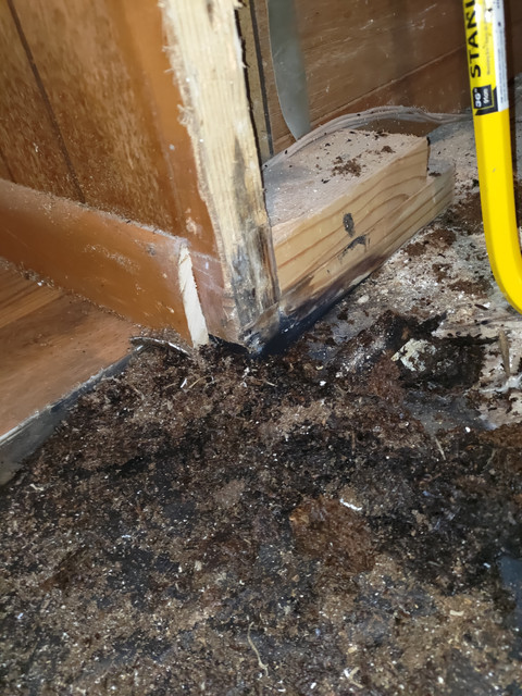 subfloor4.jpg