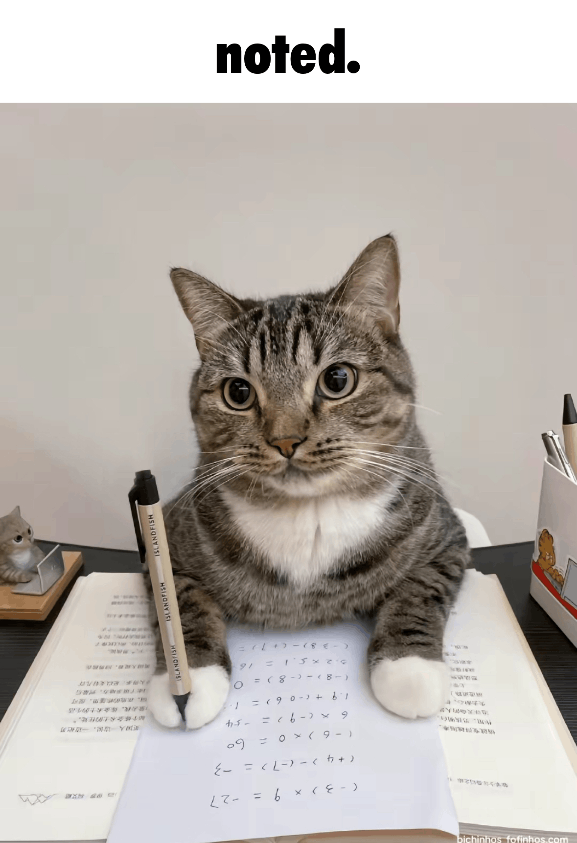 caption-1.gif