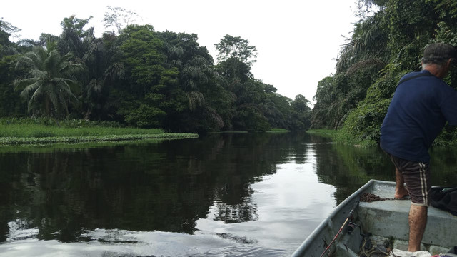 Canal tranquilo entre manglares