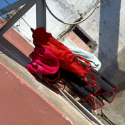 IMG20201218121416