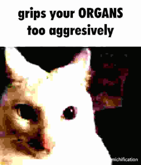 togif