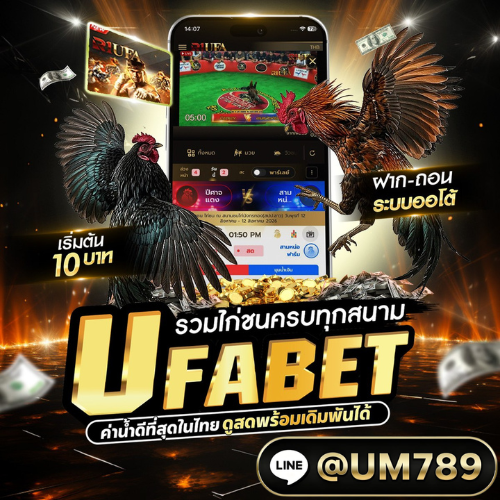 เว็บแทงไก่ชน