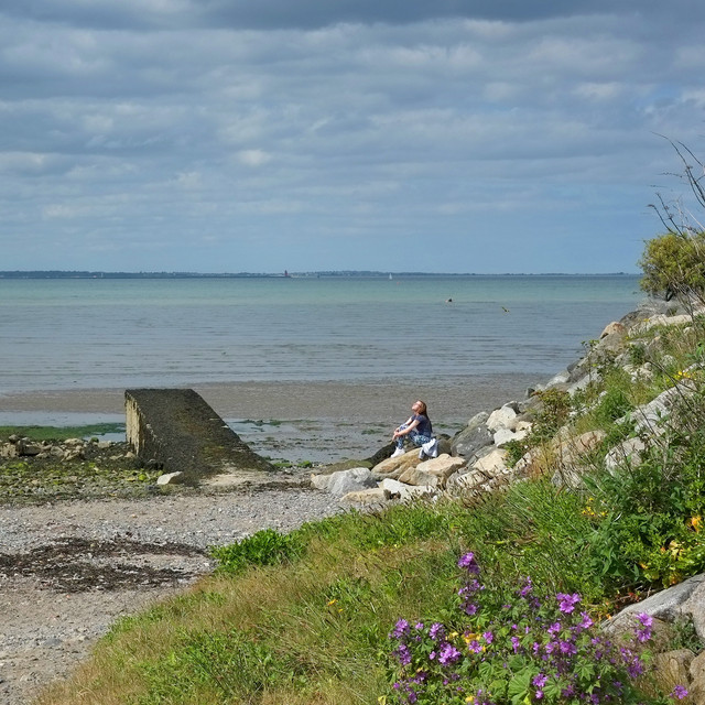 E1SR9398.jpg