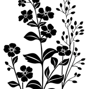bc7fd419db1a84709db6a5d4d9e3ba1e
