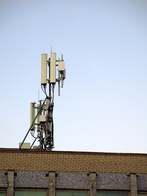 IMG-3423