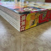 IMG 4985 (002)