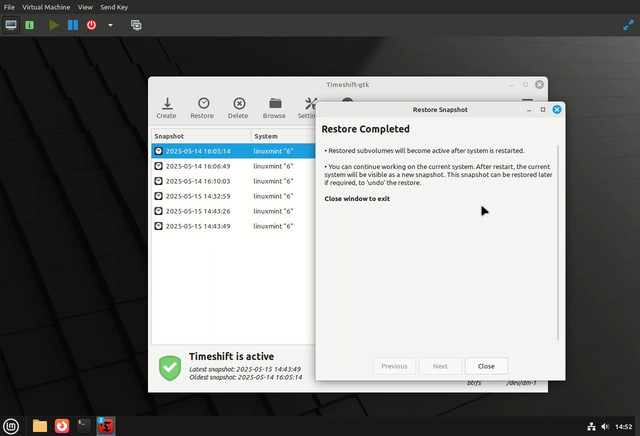 Timeshift-Bug-11