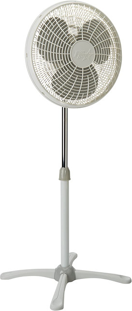 3169