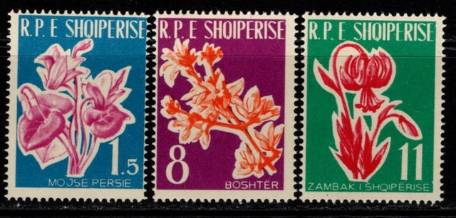 283