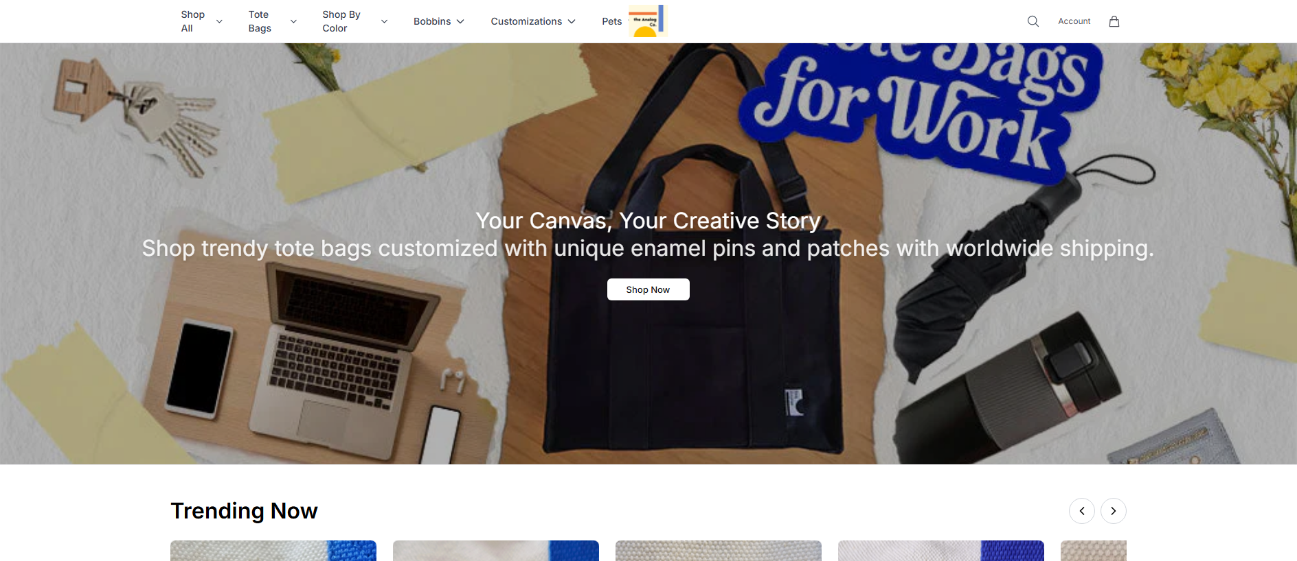 Stored capture of analogcompanystore.shop