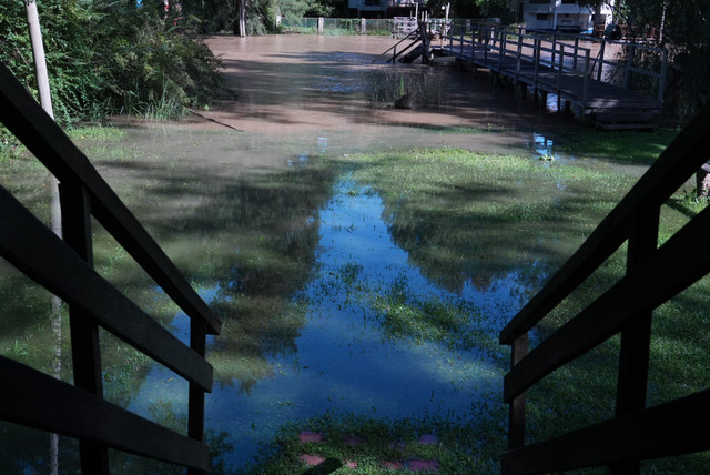 DSC00178