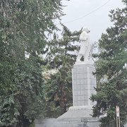 20260906 115251(0)