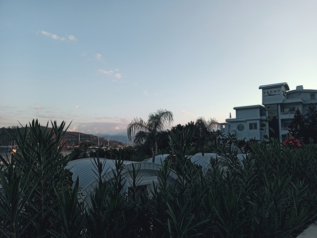 IMG 20260923 071842.jpg
