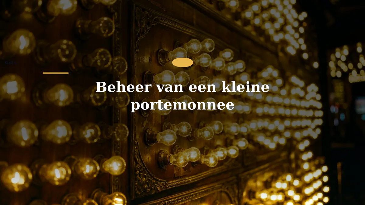 Beheer van een kleine portemonnee