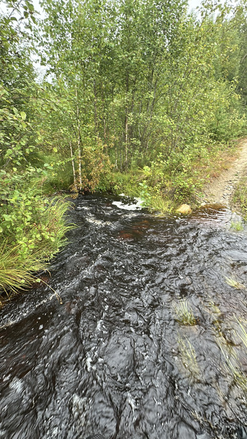 IMG 5204.jpg