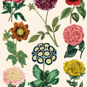 130