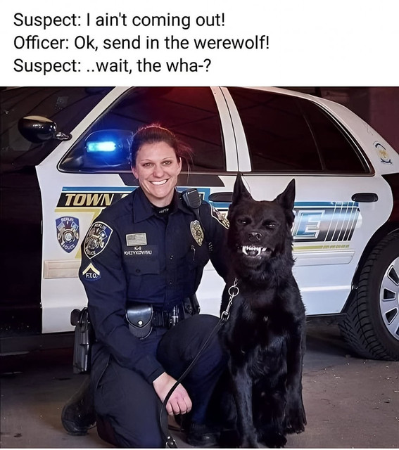 sendwerewlfin.jpg