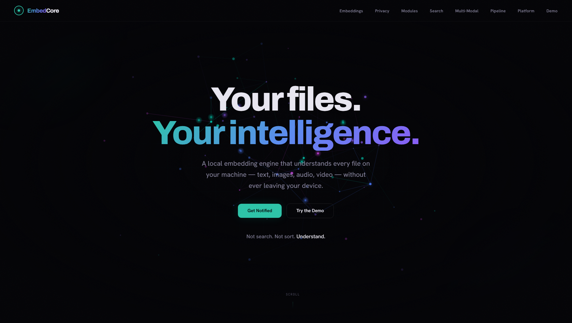 Screenshot of embed-core-site.pages.dev