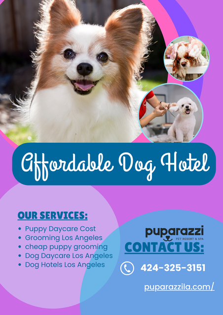 Affordable-Dog-Hotel