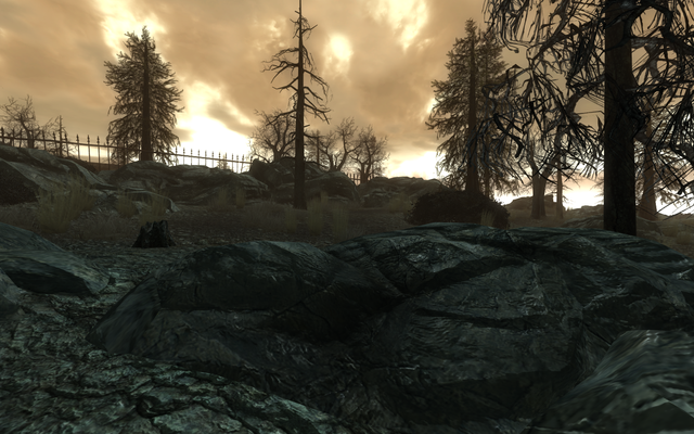 Screen Shot114
