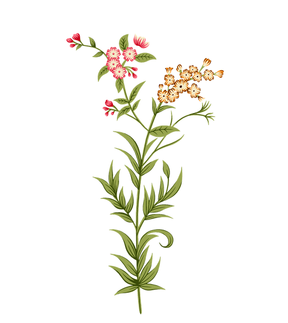 e4677be2f2539ee62d0698d66302c435.png