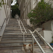 IMG 20260521 080649