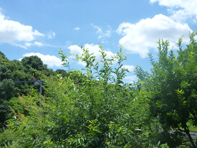 P1330813