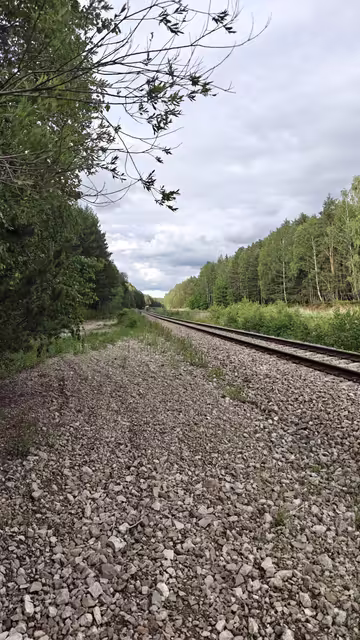 IMG20260611184244