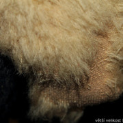 IMG-8858