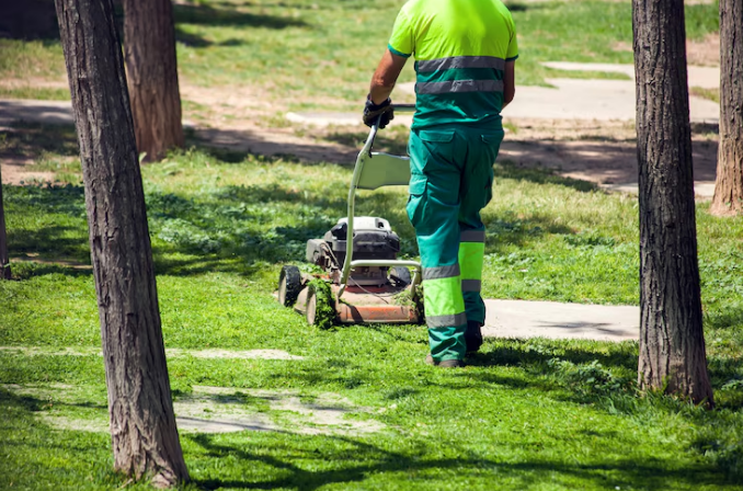 How Landscape Design Enhances Lawn Care Efficiency How Landscape Design Enhances Lawn Care Efficiency