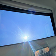 IMG-8480.jpg
