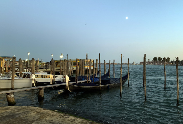 IMG-0583
