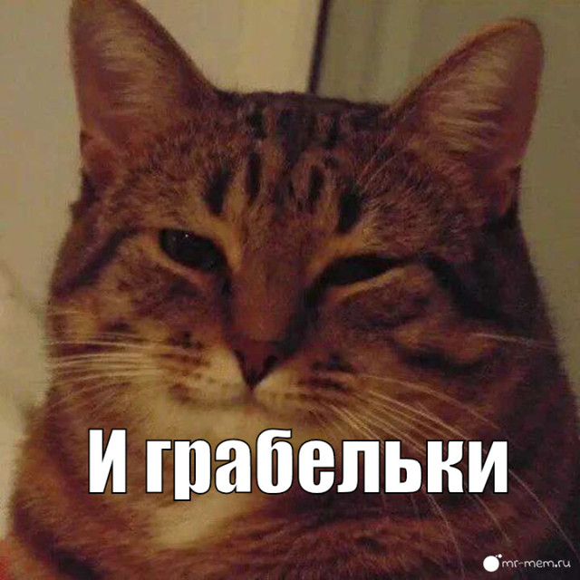myMeme