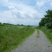 P1330190