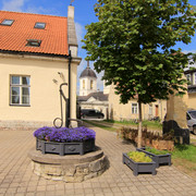 IMG-1445